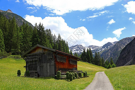 有木框架的木房子干草烘干在奥地利的山图片