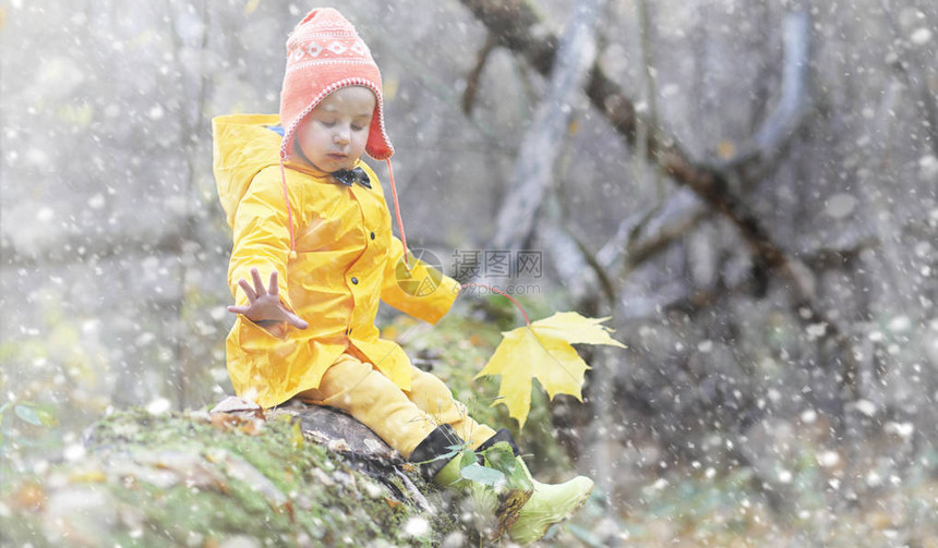 蹒跚学步的孩子们在秋天的公园里散步秋林初霜雪孩子们在公园图片