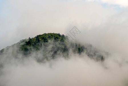 雾蒙的山林风景图片