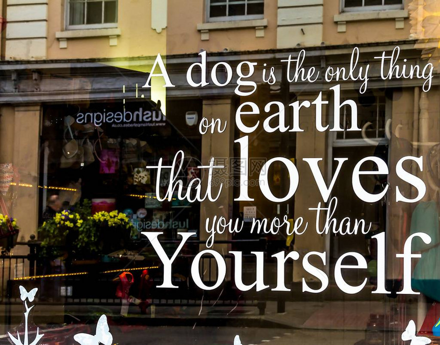 上唯一爱你比自己更爱你的狗在玻璃店图片