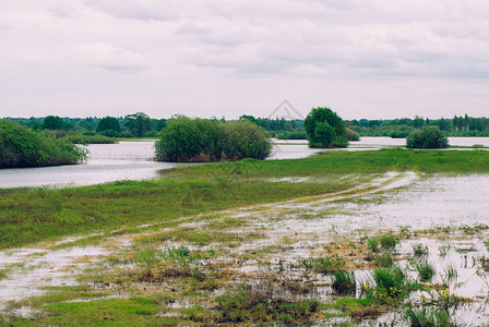 普里皮亚特河溢洪水泛滥道路白图片