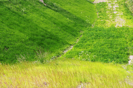 种植的绿草特别是在斜坡和宽阔公路图片