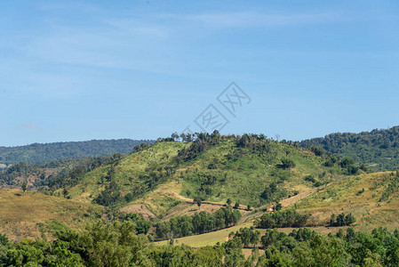 美丽的山地和草原阳光明媚的夏日图片