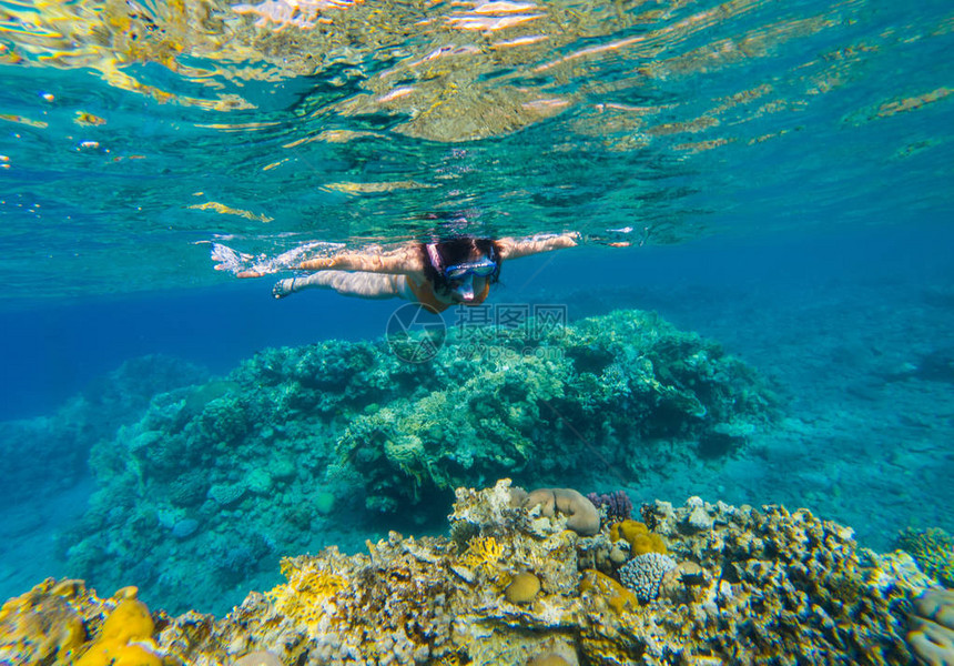一名年轻女子在珊瑚礁上空热带海洋上俯图片