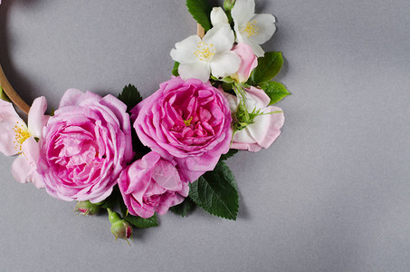 Floral框架灰色背景的玫瑰花朵图片