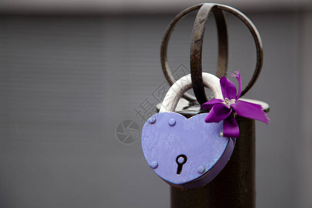 旧城桥上紫色锁的特写心形蝴蝶结婚礼当图片