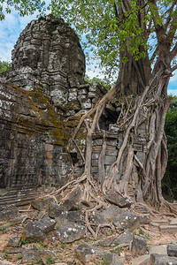 柬埔寨暹粒Angkor建筑群TaSo图片