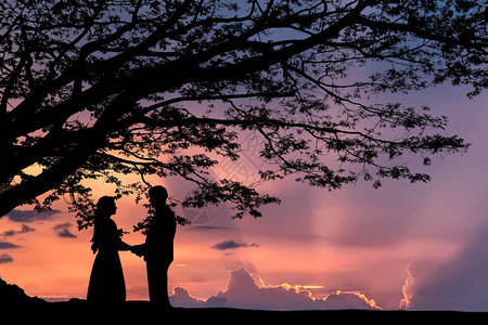 夕阳下树的情人剪影样式图片
