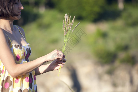 一个女孩采摘野花一个穿着夏装的女人正沿着田野走小穗的花束女手撕下图片