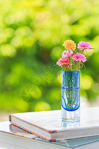 美丽的苔榈花在蓝色花瓶里玫瑰在有自然图片