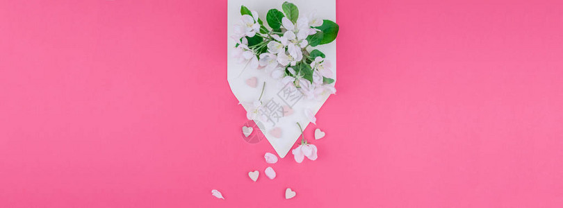 创意平铺在千禧粉红色背景上用空白信封和苹果树花的长宽横幅图片