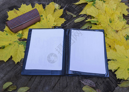 白纸带有黑文件夹和一箱戴黄色叶子木背图片