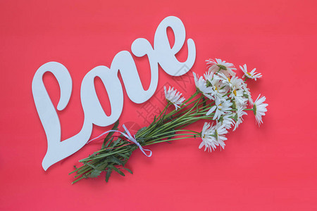 写成爱的白字在粉红背景上用甘菊花写下来圣情人节图片
