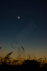 月亮和黎明天空中第一颗星图片