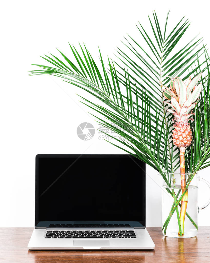 自由型台式风琴计算机棕榈枝和装饰粉红色菠萝图片