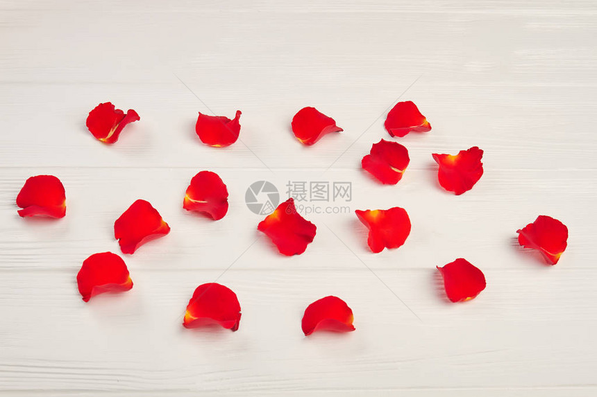 白色背景上的红色玫瑰花瓣白色木制背景上的红玫瑰花瓣浪漫图片