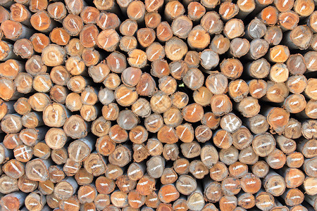 建筑工业中使用的木柴Eucal图片