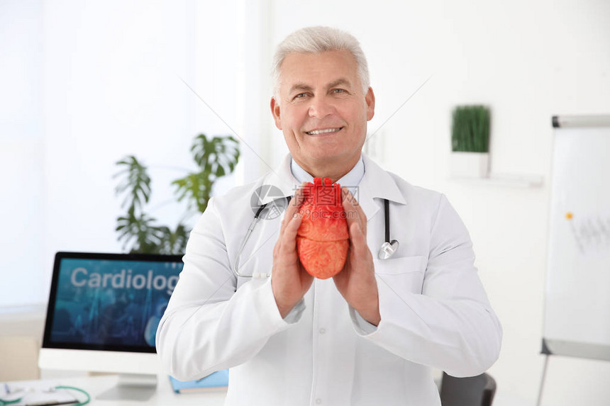 在诊所有心脏模型的男医生图片