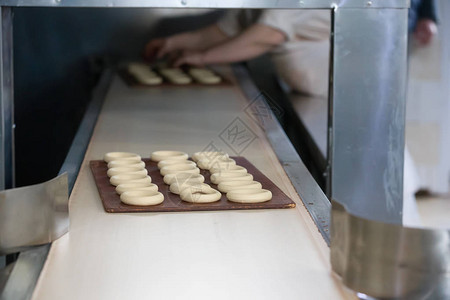 生产饼干和百吉饼的工业生产线用于生产烹饪图片