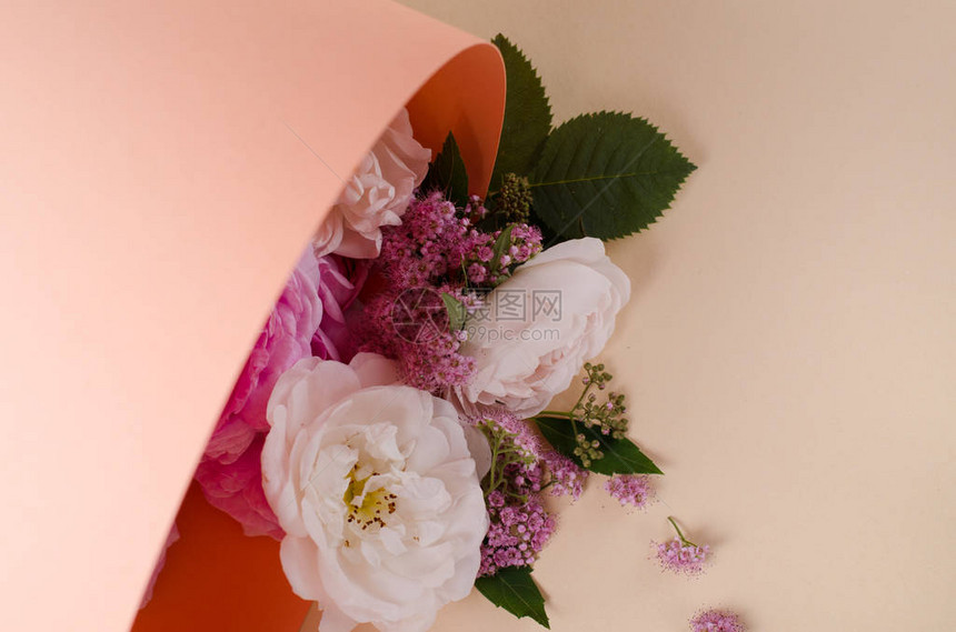 活玫瑰花框美丽的花卉背景春假的卡片模板图片