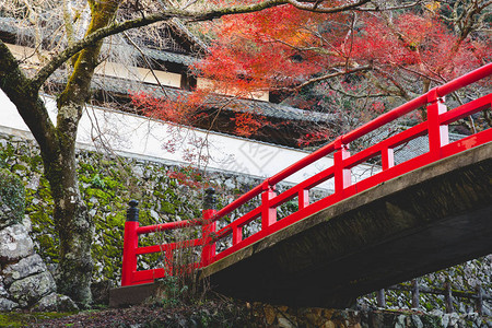 日本大阪秋季红桥图片