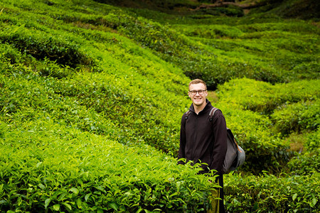 美丽的风景与年轻游客在马来西亚公园金马伦高原的Boh茶园拍摄图片