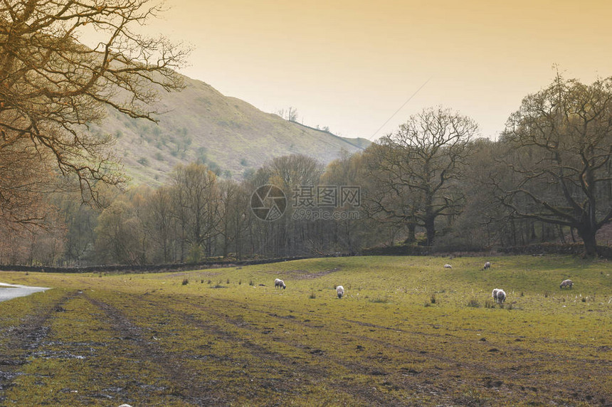 英国格兰湖区一个牧羊场风景乡地貌联合图片