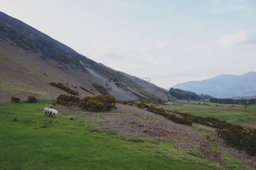 英国格兰湖区一个牧羊场风景乡地貌联合图片