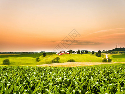 华丽的全景农场或农业场景图片