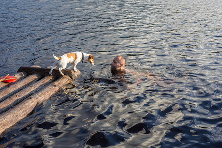 狗在木筏上遇图片