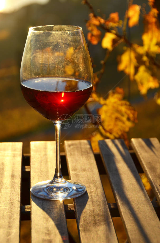 与红葡萄酒在瑞士Lavaux反对葡萄园的图片