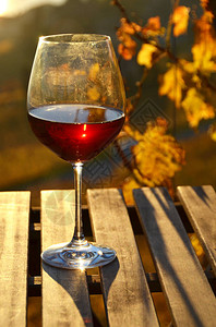 与红葡萄酒在瑞士Lavaux反对葡萄园的图片