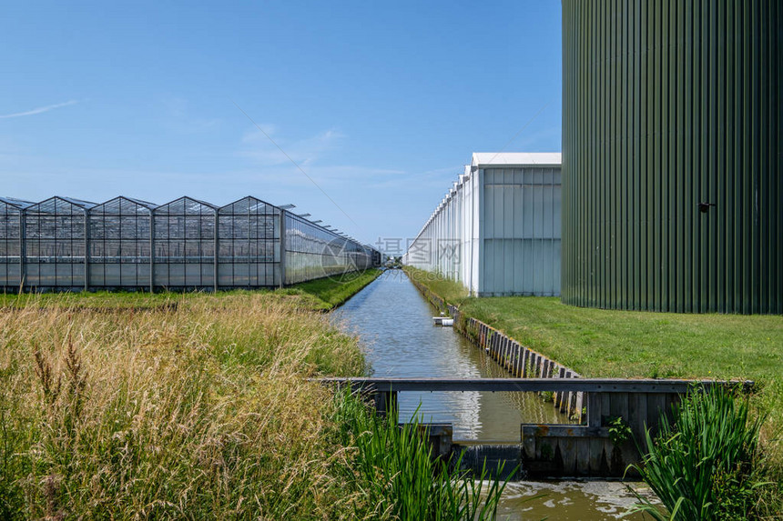 荷兰韦斯特兰有巨大油箱供暖的温室韦斯特兰是荷兰南荷兰省的一个地区商业玻璃温室或温室是蔬菜或花卉的高图片