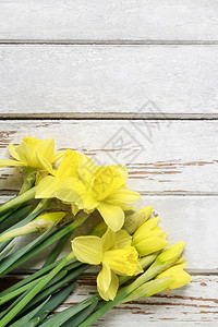 白色木制桌子上美丽的黄色花水仙子图片