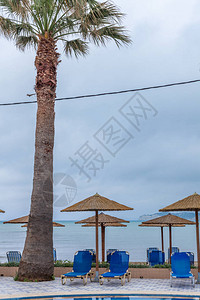 木伞遮住阳光面向游泳池和海洋的懒惰便携式椅子棕榈树站在中间度假村图片