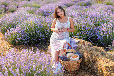 孕妇坐在紫衣花草地的干草上图片