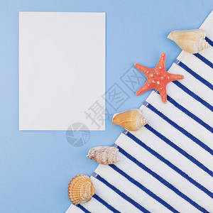 淡蓝色背景上沙滩巾贝壳和海星的顶视图背景图片