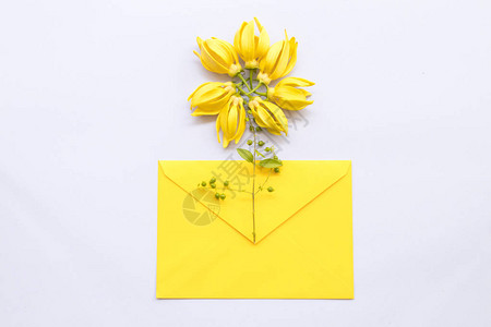 以黄封在原白木上的亚状安排的黄色花朵YyanYangylang图片