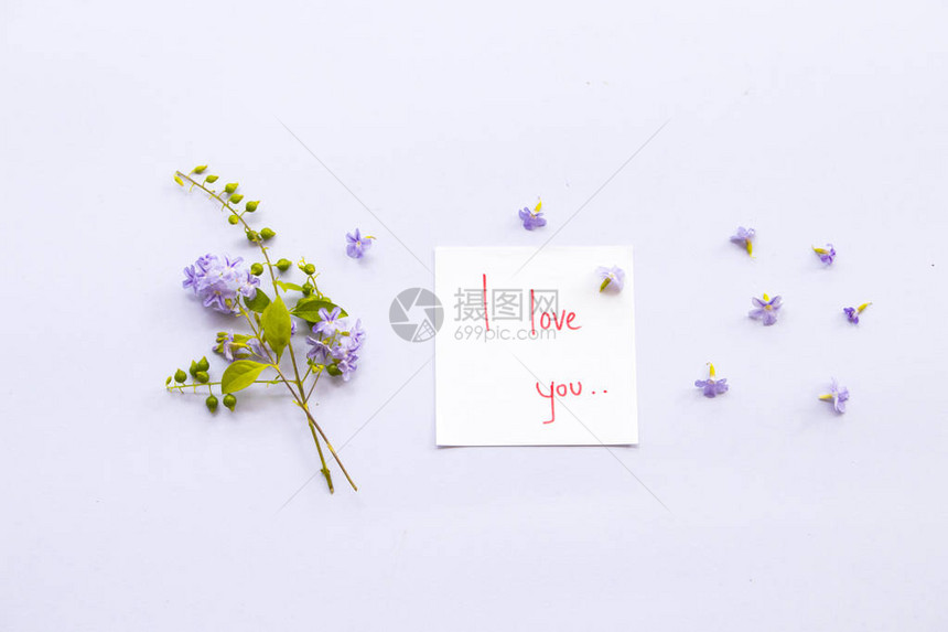 我喜欢你的留言卡笔迹和紫花布局在背景白色图片