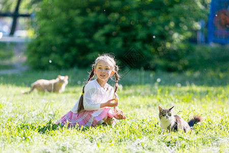 一只小孩子在街上喂流浪猫的面包图片