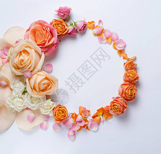 活玫瑰花框美丽的花背景假日或婚图片