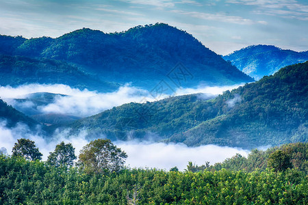 森林山岳雾和云雾图片