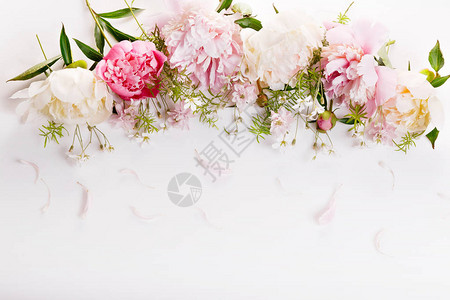 精致的白色粉红色牡丹花瓣朵和白色背景上的白色丝带图片