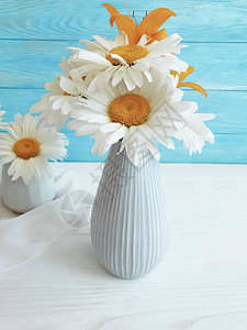 花瓶菊花Lily图片