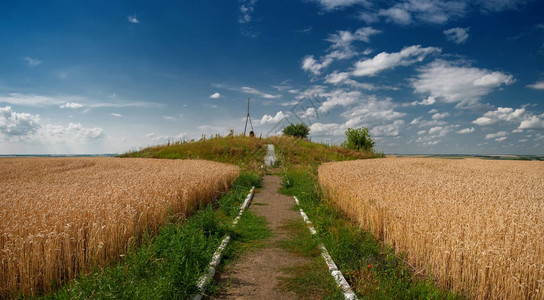 Struve乌克兰小麦田土地测量的Struv图片