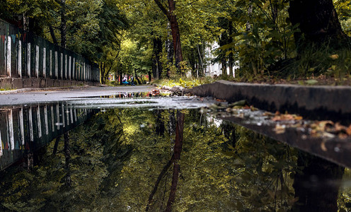 大街上的水坑倒映着秋天的树木大自然图片