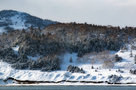 雪中岛屿的海岸图片