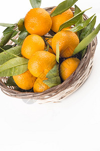 橙色水果健康橘子图片