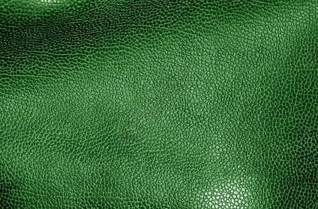 绿色的皮层表面摘要背景和设计纹理图片