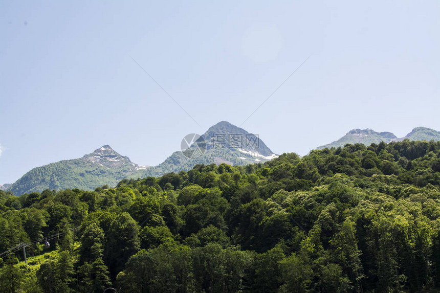 绿色森林和山的风景图片